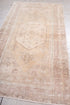 Antique Anatol Area Rug (3' x 6')